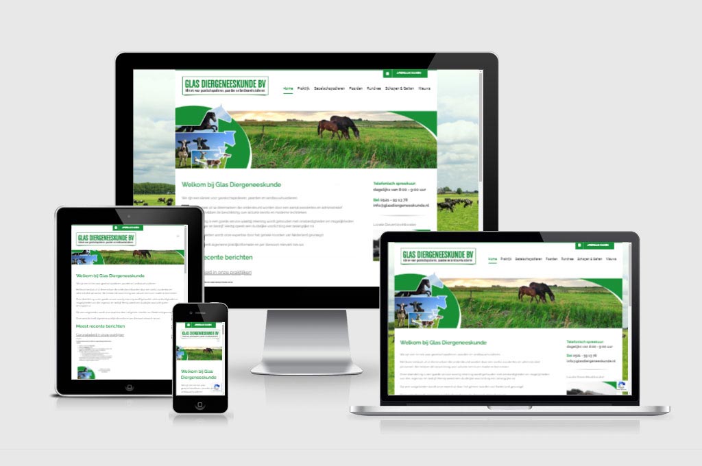 Voorbeeld mobiele website op smartphone tablet laptop en desktop - volledig responsive design voor alle schermformaten