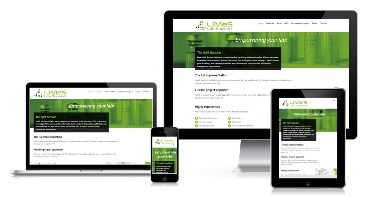 Professionele WordPress website voor IT consultancy met diensten overzicht en expertise - volledig responsive